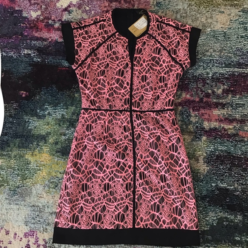 Elliatt Pink Black Lace Dress S Edgy